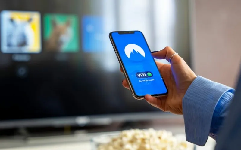 image_68c8a4c9900aa6.09690855