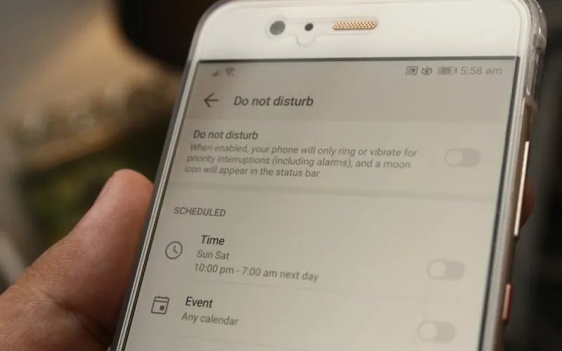 image_68c8fa2ec38bf7.19361818